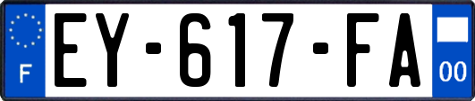 EY-617-FA
