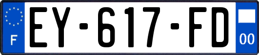 EY-617-FD