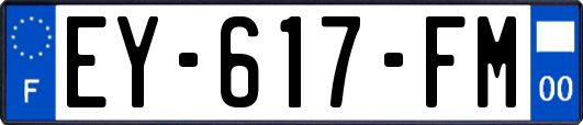 EY-617-FM