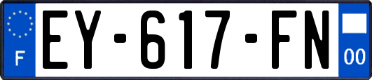 EY-617-FN