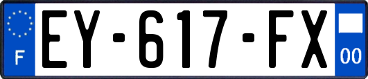 EY-617-FX