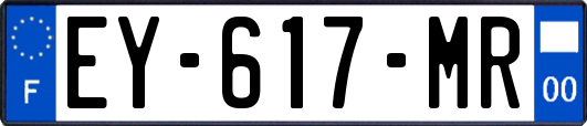 EY-617-MR