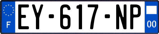 EY-617-NP