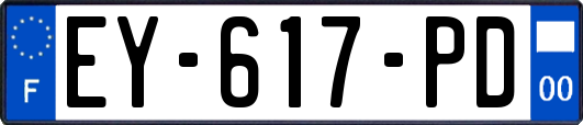 EY-617-PD