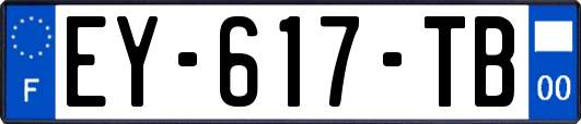 EY-617-TB