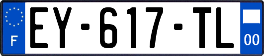 EY-617-TL