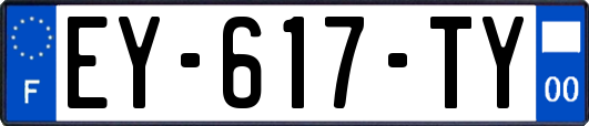 EY-617-TY