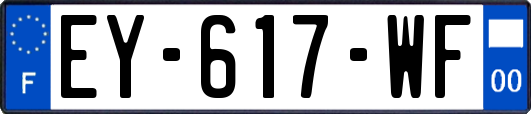 EY-617-WF
