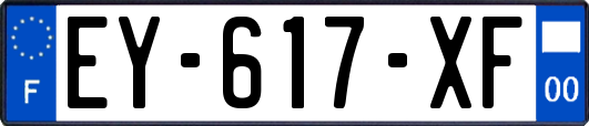 EY-617-XF