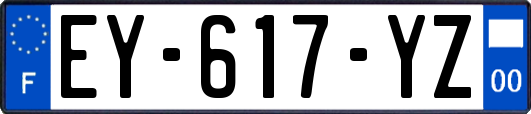EY-617-YZ