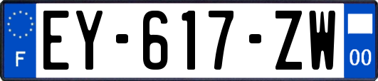 EY-617-ZW