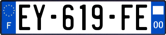 EY-619-FE