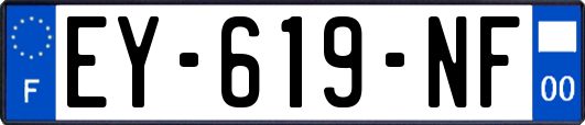 EY-619-NF