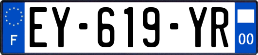 EY-619-YR