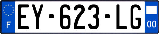 EY-623-LG