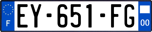 EY-651-FG