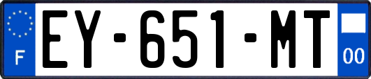 EY-651-MT