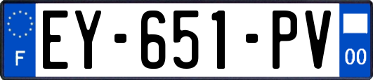 EY-651-PV