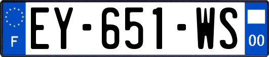 EY-651-WS