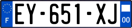 EY-651-XJ