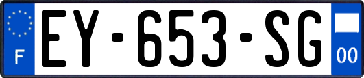 EY-653-SG