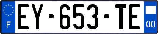 EY-653-TE