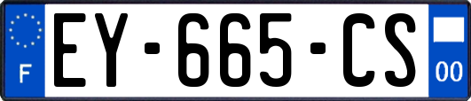 EY-665-CS