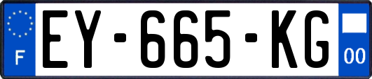 EY-665-KG