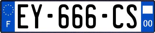 EY-666-CS