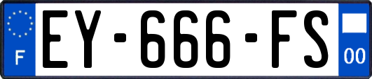 EY-666-FS