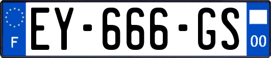 EY-666-GS