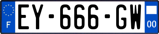 EY-666-GW