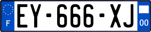 EY-666-XJ