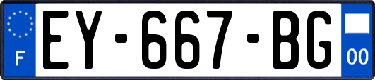 EY-667-BG