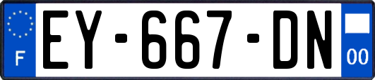 EY-667-DN