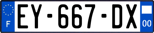 EY-667-DX