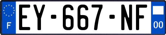 EY-667-NF