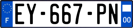 EY-667-PN
