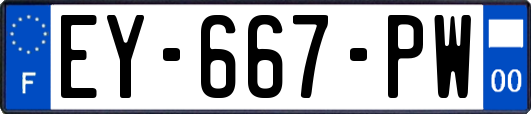 EY-667-PW