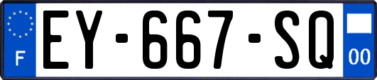 EY-667-SQ