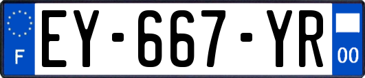 EY-667-YR