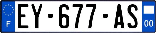 EY-677-AS