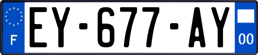 EY-677-AY