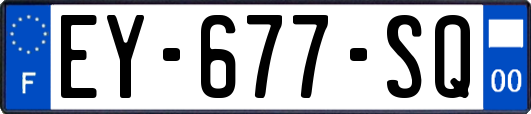 EY-677-SQ