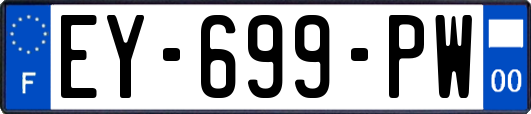 EY-699-PW