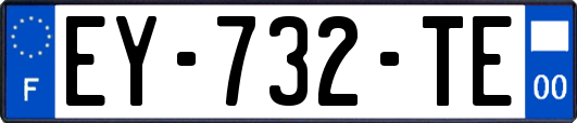 EY-732-TE