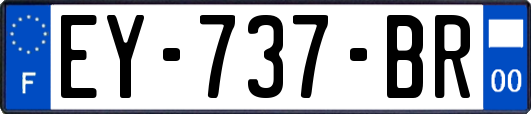 EY-737-BR