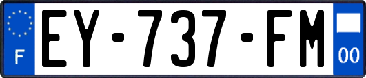 EY-737-FM
