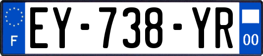 EY-738-YR