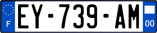 EY-739-AM